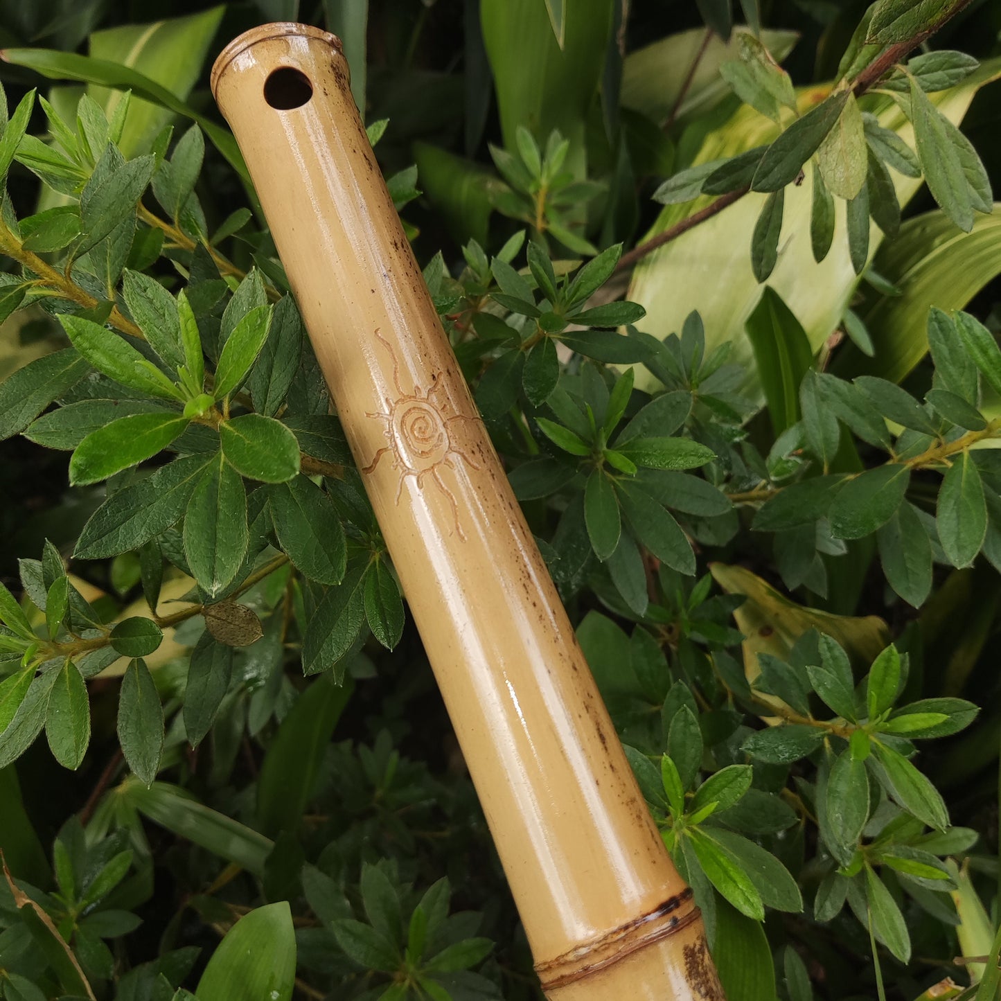 Exotic Meditative Kokin Akebono Bamboo Flute in the key of low C. Oriental Flute with a Japanese scale and a Transporting voice | Rui Gomes