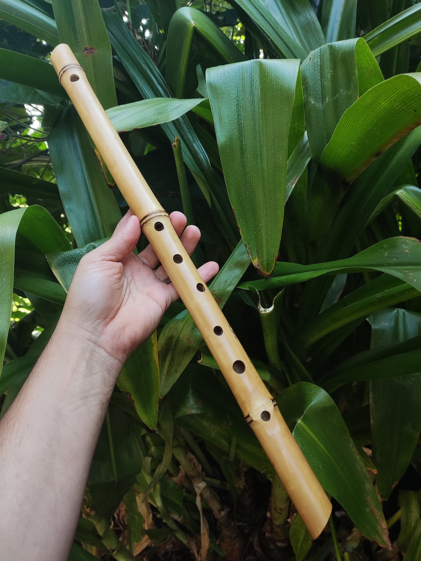 Bamboo Flute in the key of low E, One of a kind Concert Tuned Traverso | Intuitive flute for Folk music | Gift for Musician | Rui Gomes
