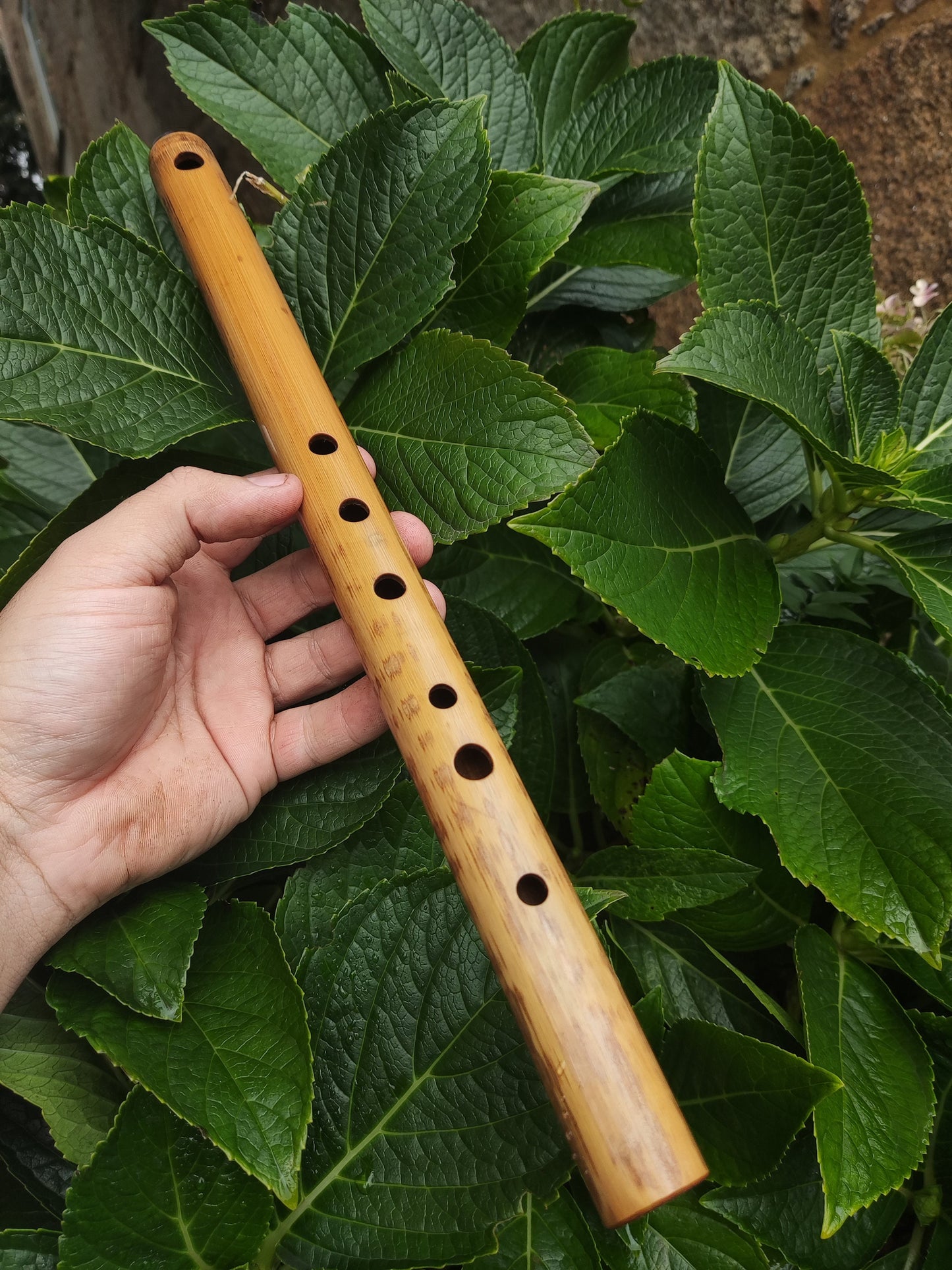 A Major Transverse Flute handmade out of Bamboo | 6-hole Concert pitched Flute | Folk and World Music | Gift for Musician | Rui Gomes