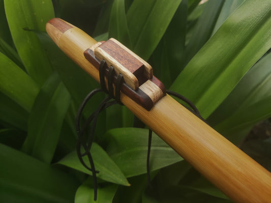 Native American Style Bamboo flute in F# | Rui Gomes