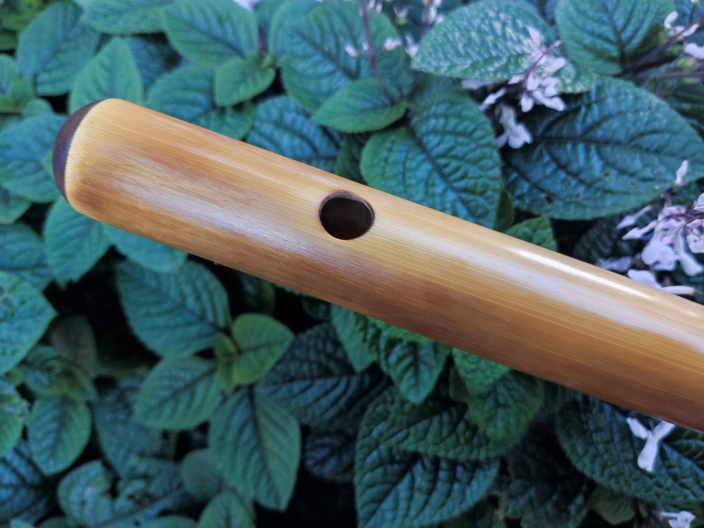 F Major Transverse Flute | Rui Gomes