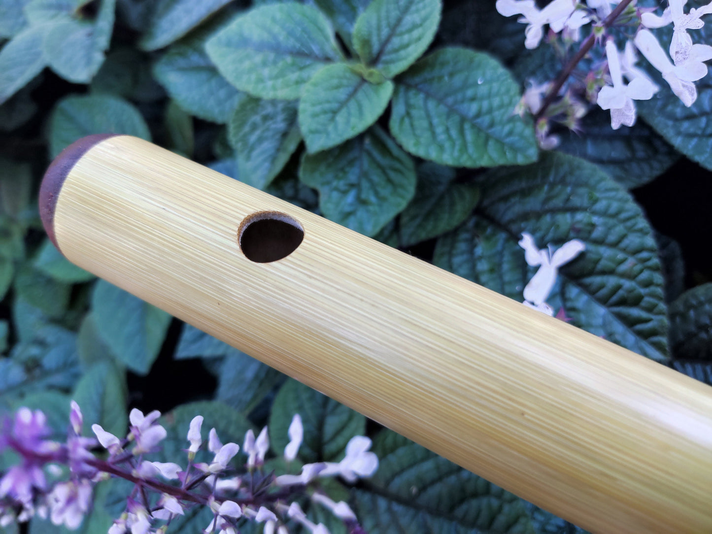 F Major Transverse Flute | Rui Gomes