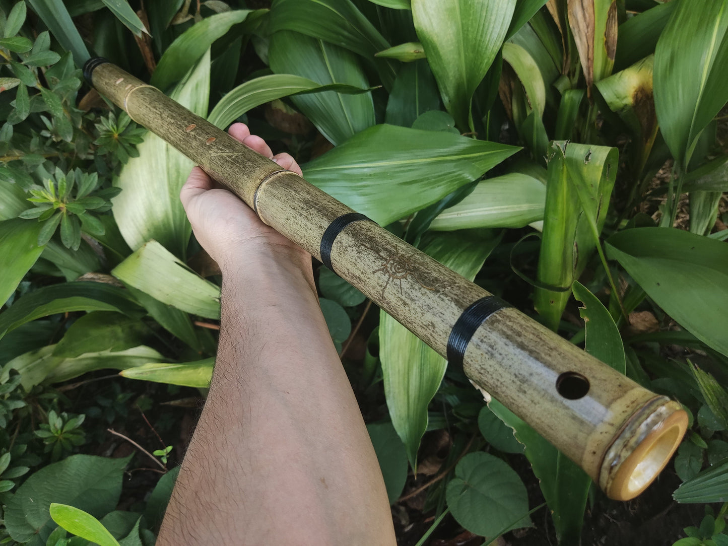 Deep Meditation Akebono Bamboo Flute in the key of A | Rui Gomes