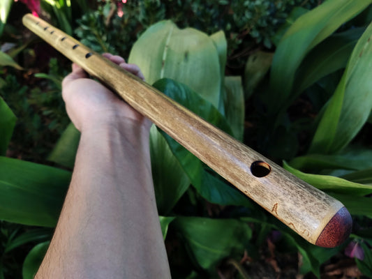 Low D Major Flute. Irish low D flute | Rui Gomes