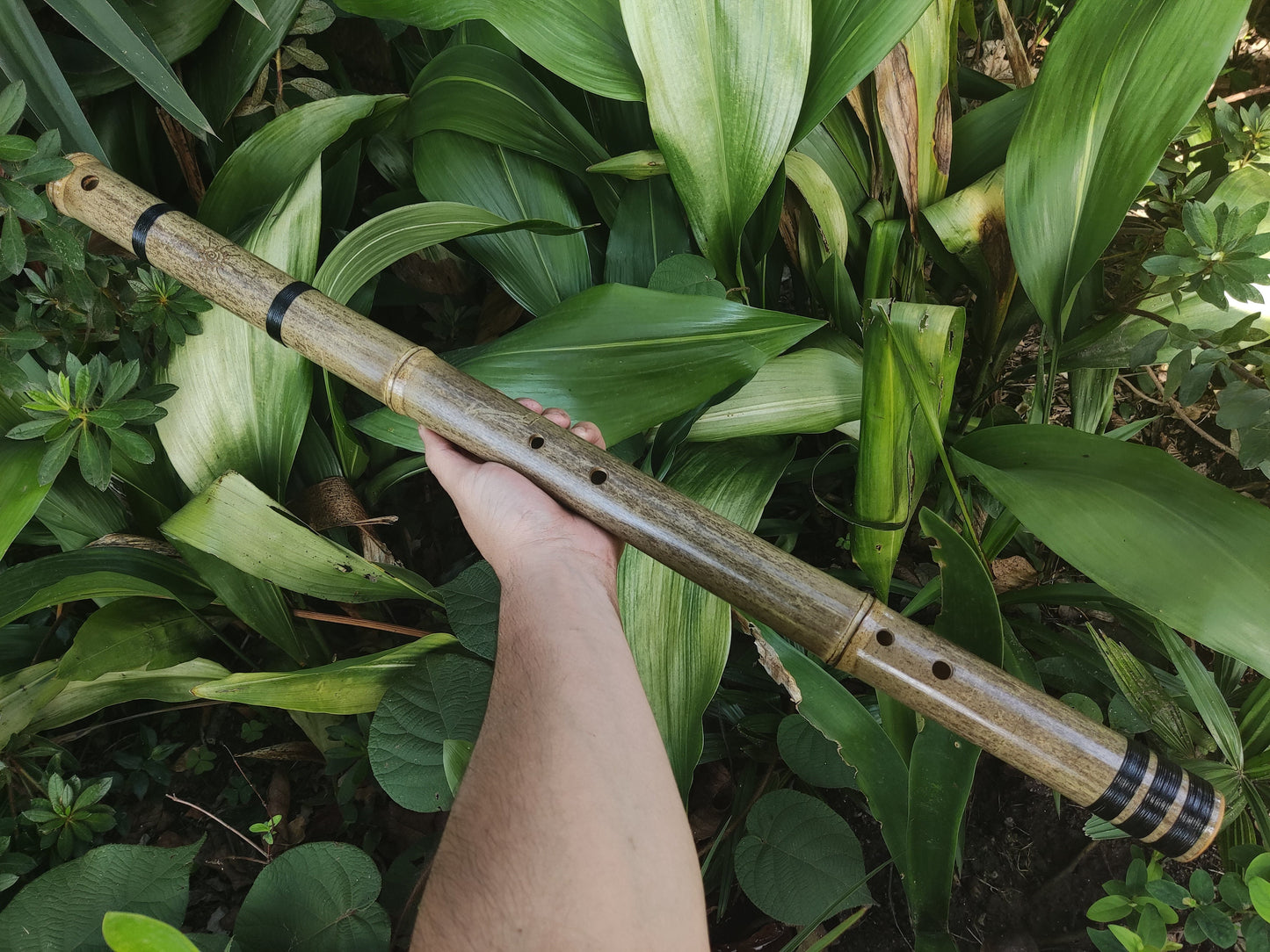 Deep Meditation Akebono Bamboo Flute in the key of A | Rui Gomes