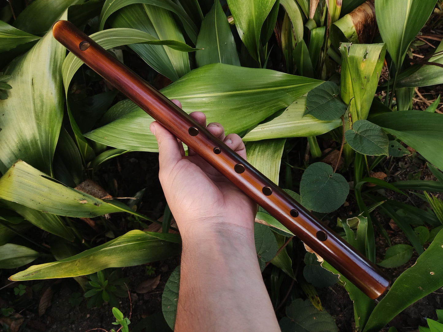 Harmonic Minor Bamboo Flute in the key of A | Rui Gomes
