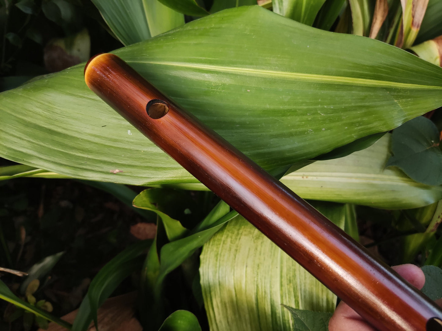 Harmonic Minor Bamboo Flute in the key of A | Rui Gomes
