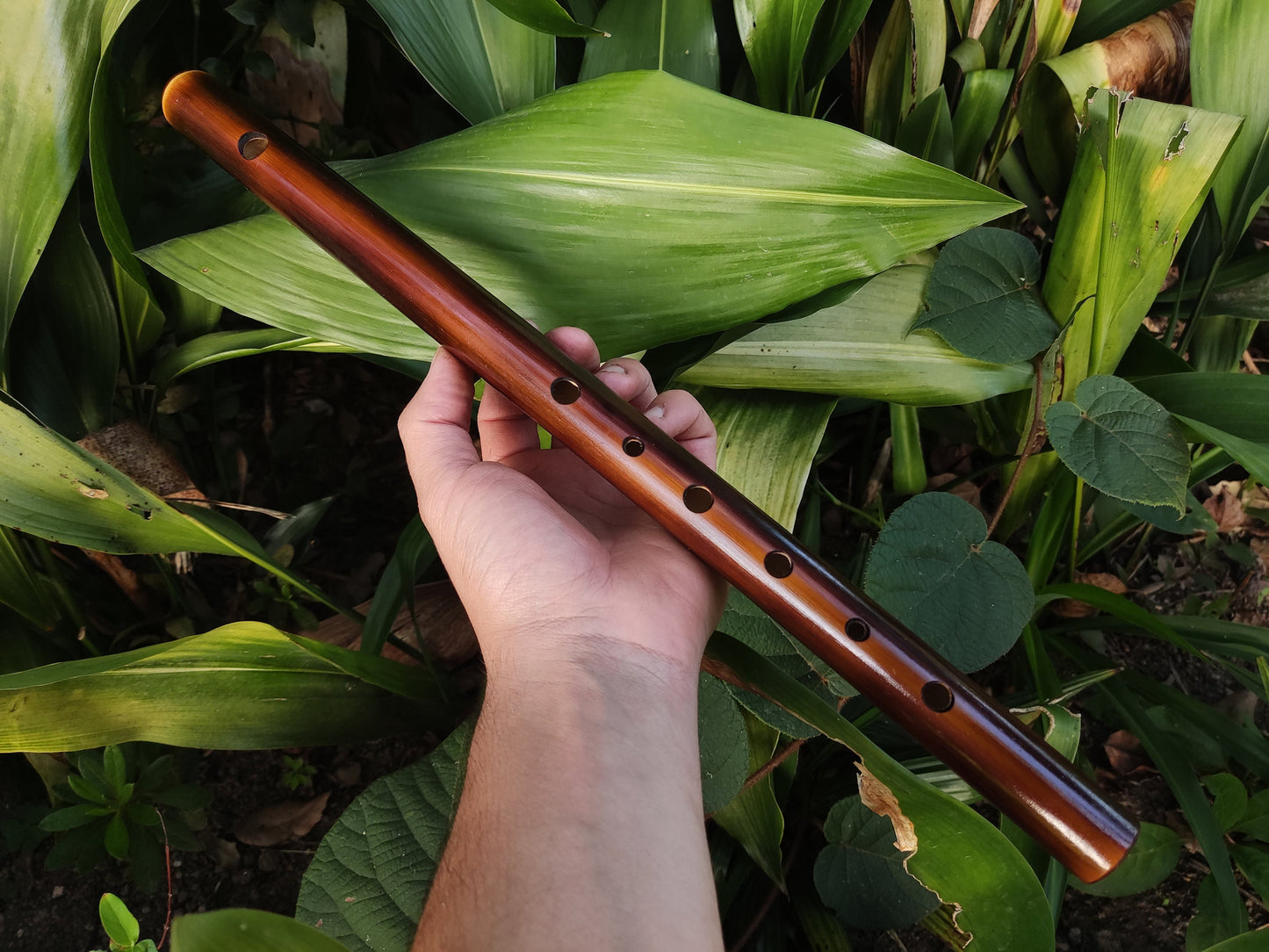 Harmonic Minor Bamboo Flute in the key of A | Rui Gomes