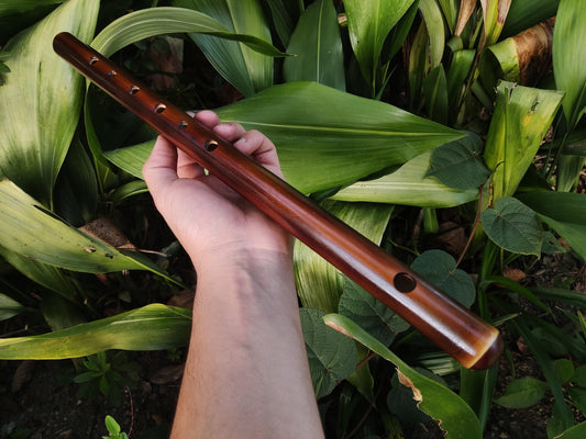 Harmonic Minor Bamboo Flute in the key of A | Rui Gomes