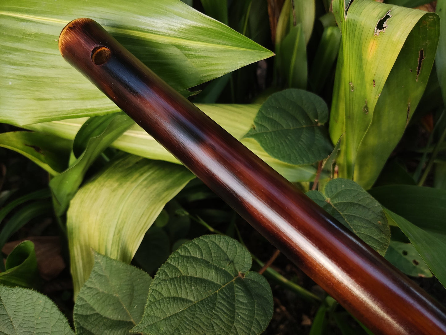 Low E Arabian style Bamboo Flute. Rustic flute | Rui Gomes
