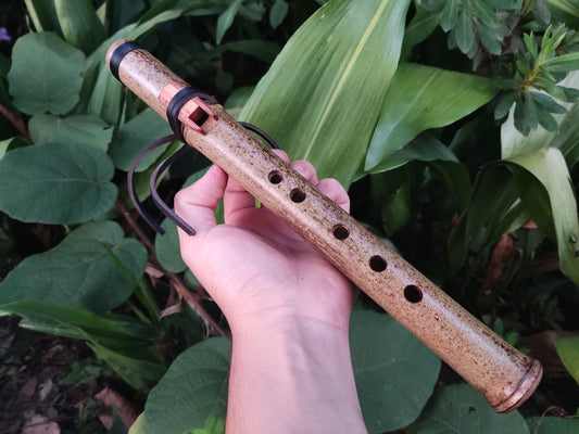 Ethnic Native American and Oriental Style Bamboo Flute in High D# | Rui Gomes
