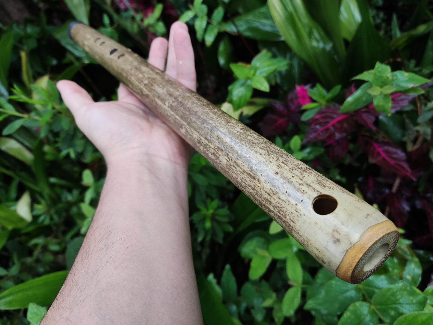Egyptian Flute in Eb. Handmade bamboo flute with an exotic scale | Rui Gomes