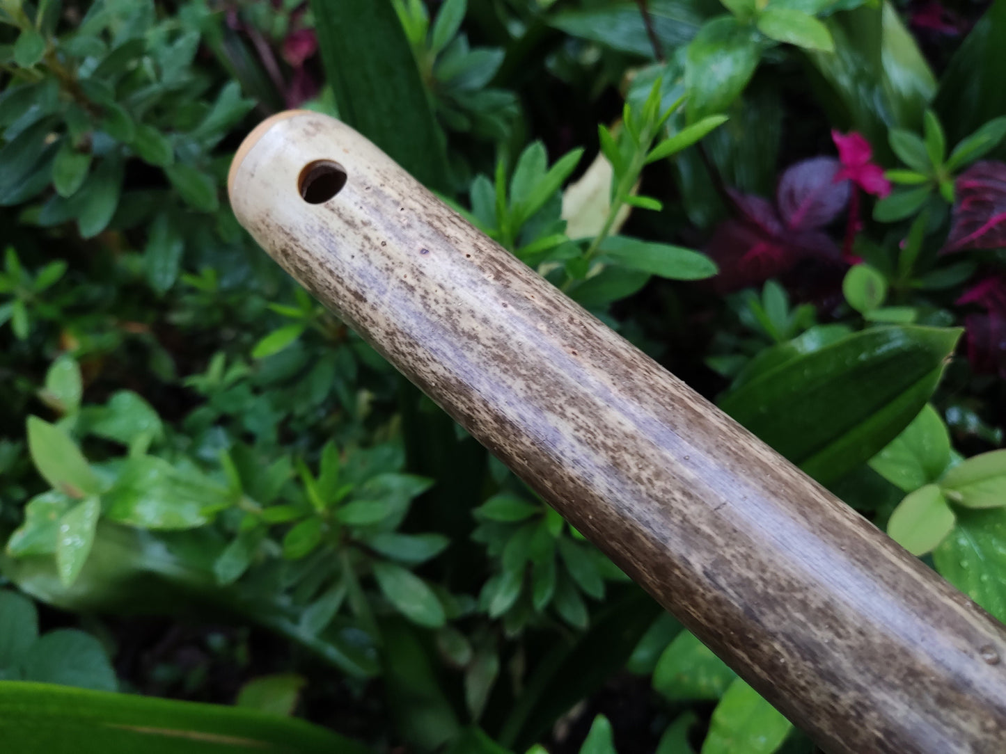 Egyptian Flute in Eb. Handmade bamboo flute with an exotic scale | Rui Gomes
