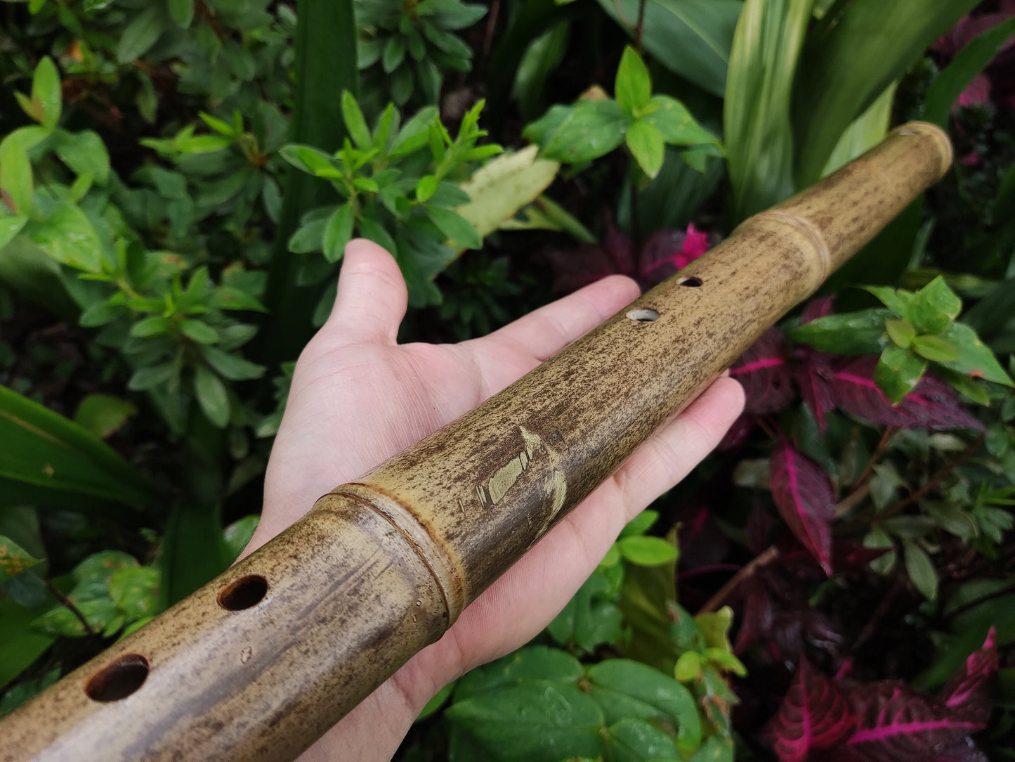 Exotic Meditative Akebono Bamboo Flute in the key of C4 | Rui Gomes