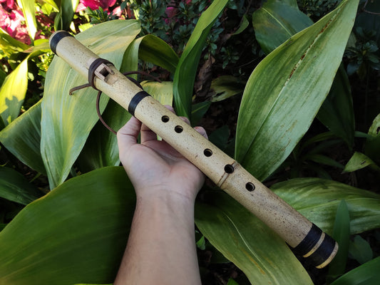 Native American and Oriental style Bamboo Flute in the key of A | Rui Gomes