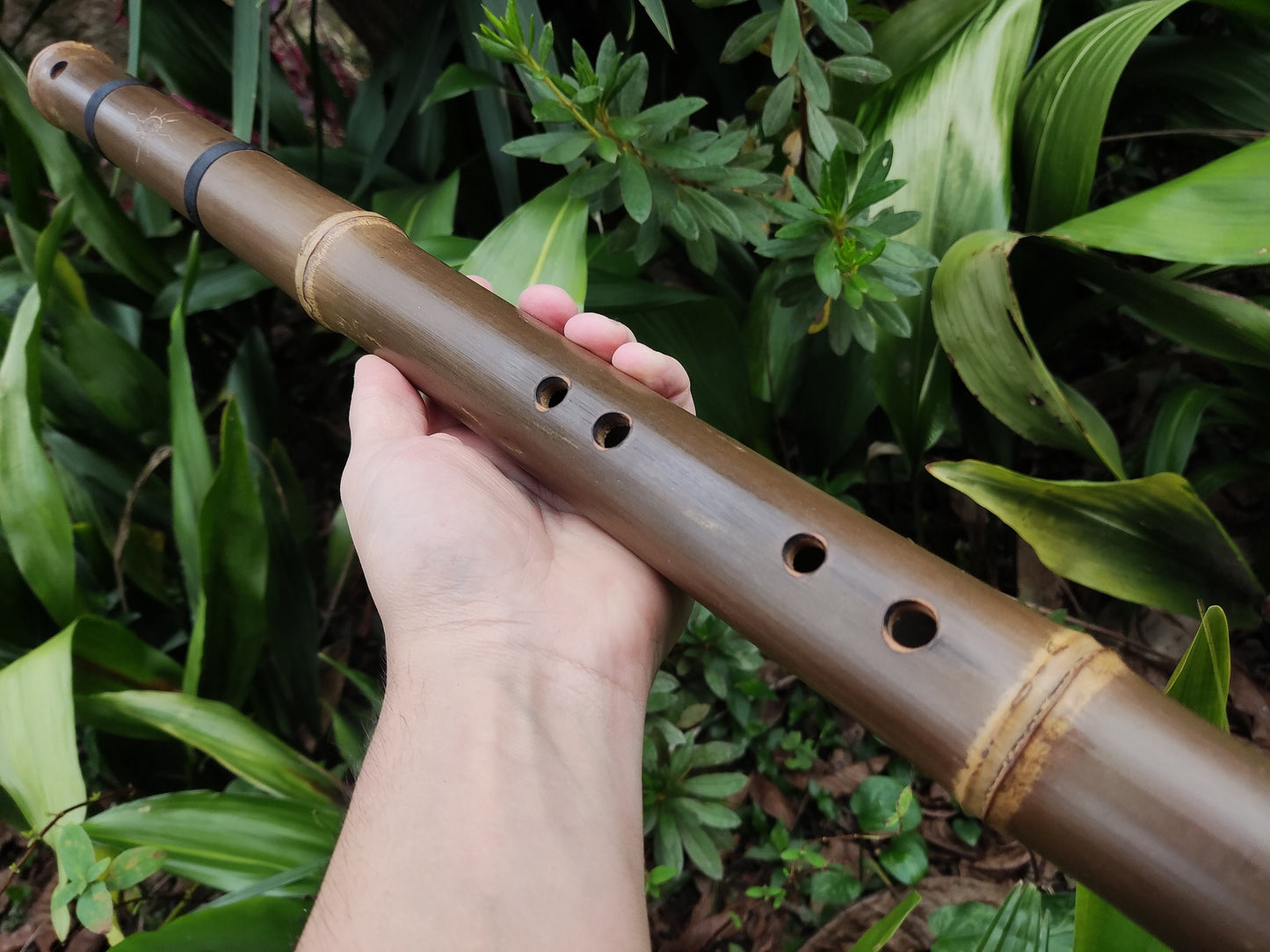 Egyptian Flute in low A. Egyptian sounding bamboo flute | Rui Gomes