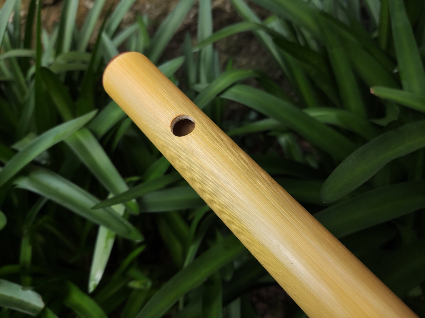 Meditative Major Pentatonic Bamboo Flute in the key of F | Rui Gomes