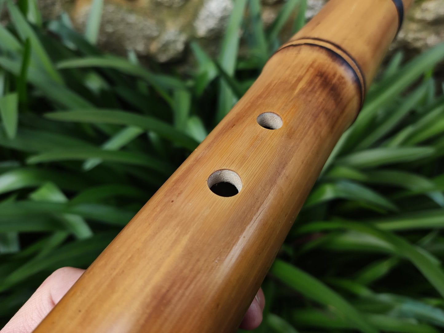Deep Meditative Akebono Bamboo Flute in the key of low G# | Rui Gomes