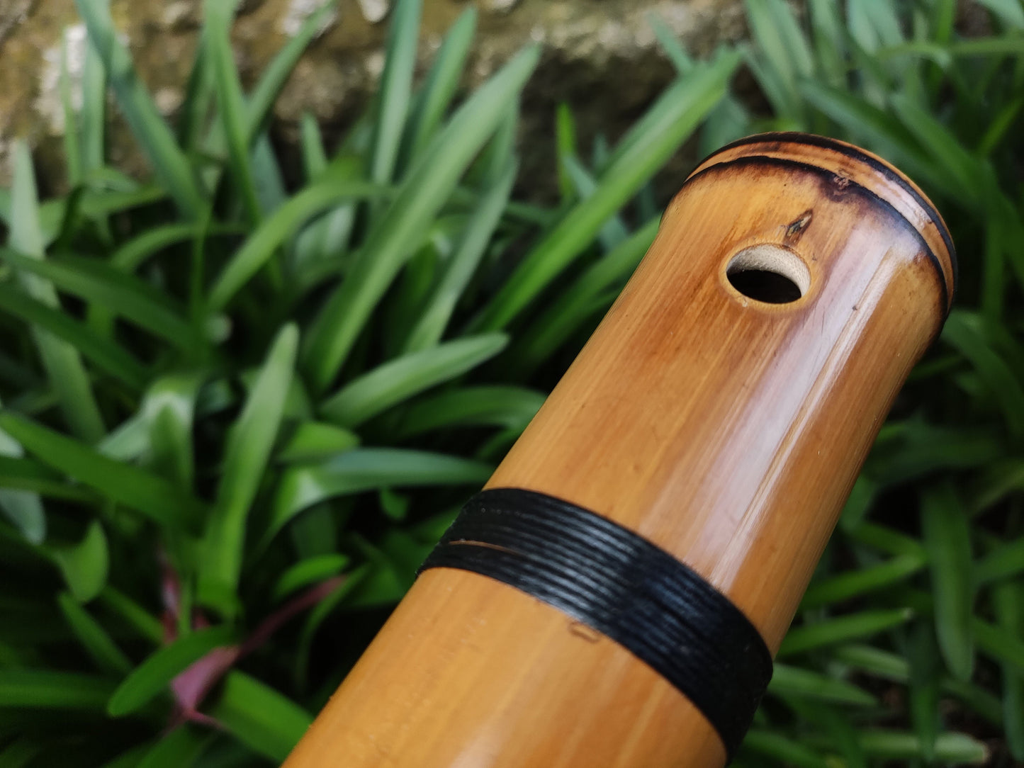 Deep Meditative Akebono Bamboo Flute in the key of low G# | Rui Gomes