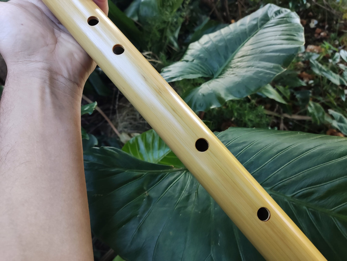 The Giant Whistle! Deep meditative Bamboo Flute in Low B | Rui Gomes