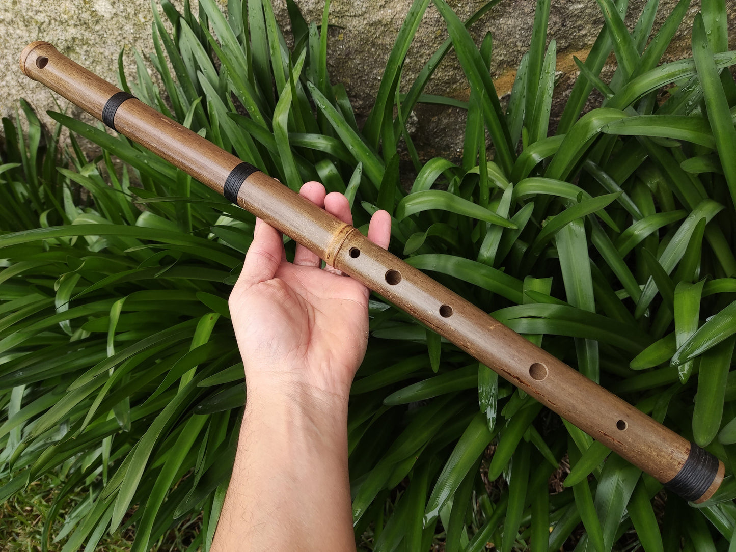 Raga Bhairavi Bamboo flute in low D. Indian Raga | Rui Gomes