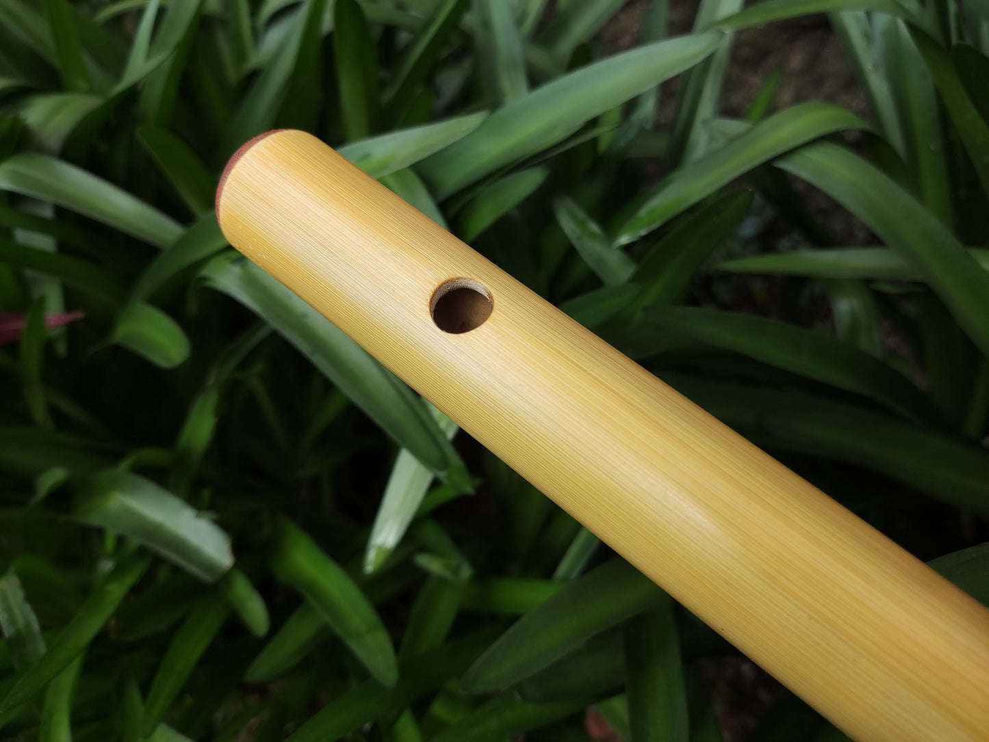 Meditative Major Pentatonic Bamboo Flute in the key of F | Rui Gomes