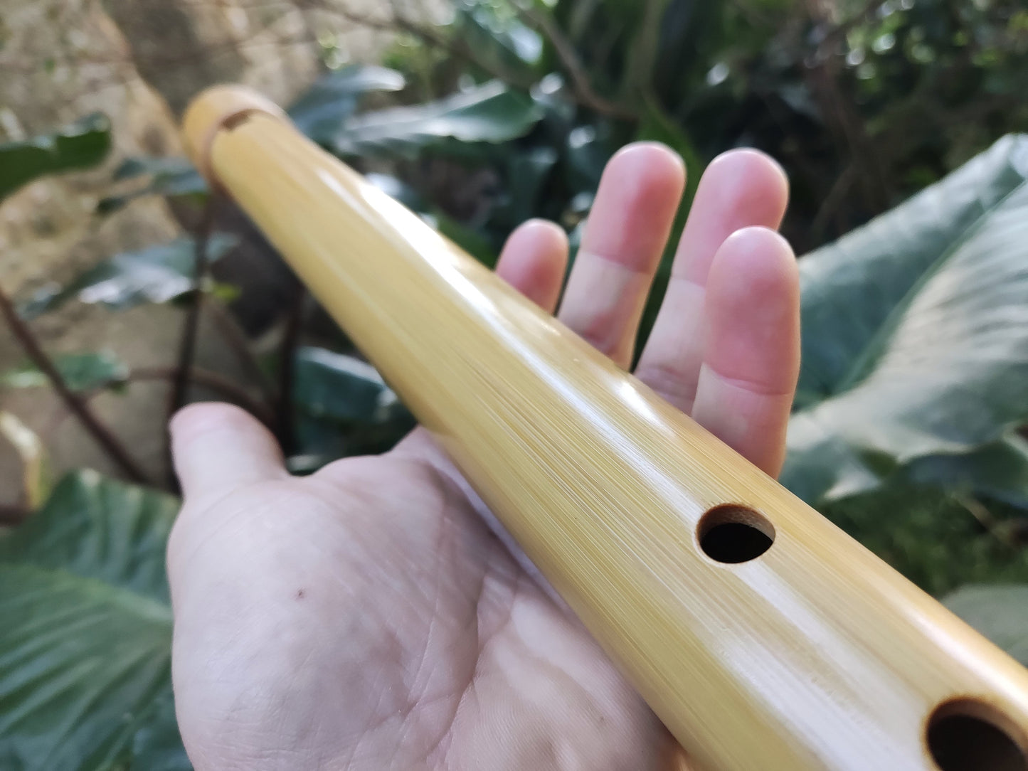 The Giant Whistle! Deep meditative Bamboo Flute in Low B | Rui Gomes