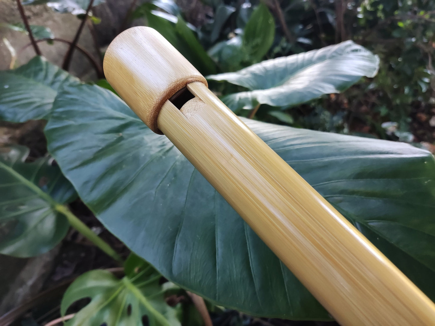 The Giant Whistle! Deep meditative Bamboo Flute in Low B | Rui Gomes