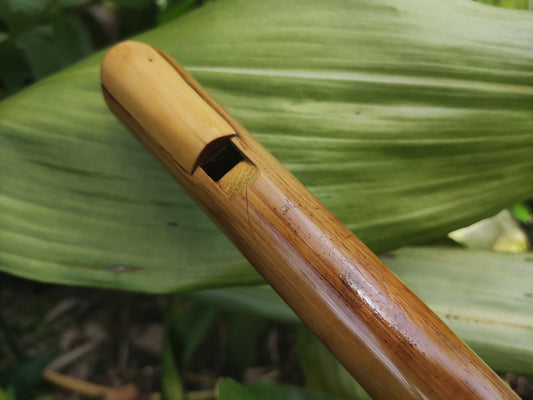 Low G Whistle. Handmade Irish Whistle. Alto G bamboo flute | Sopro Flutes