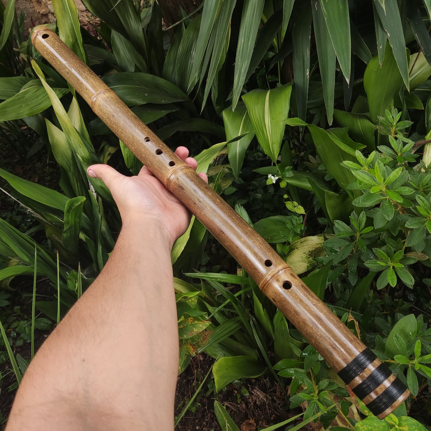 Exotic Meditative Oriental Bamboo Flute in the key of Low G# | Rui Gomes