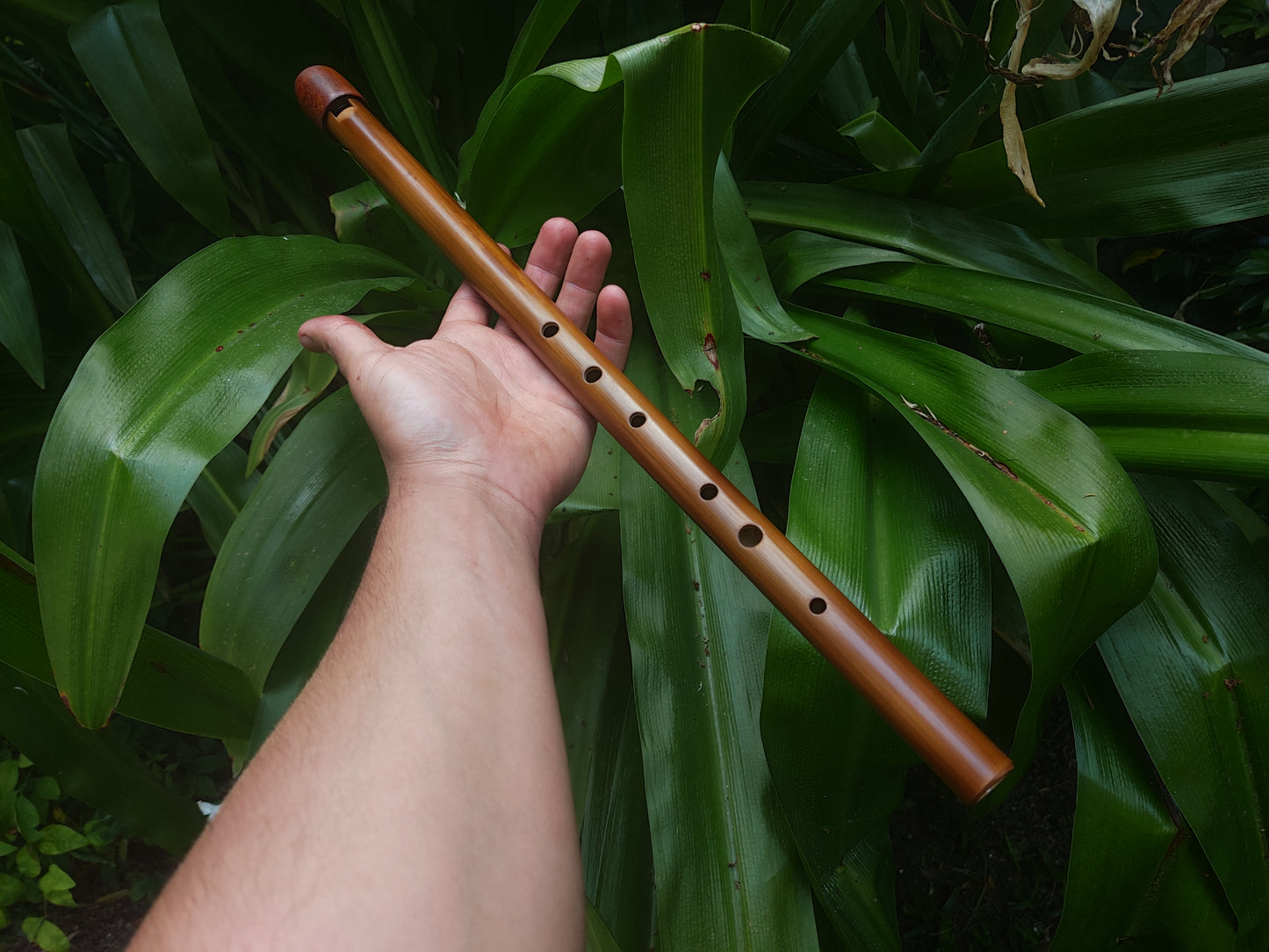 Low F Bamboo Whistle | Rui Gomes