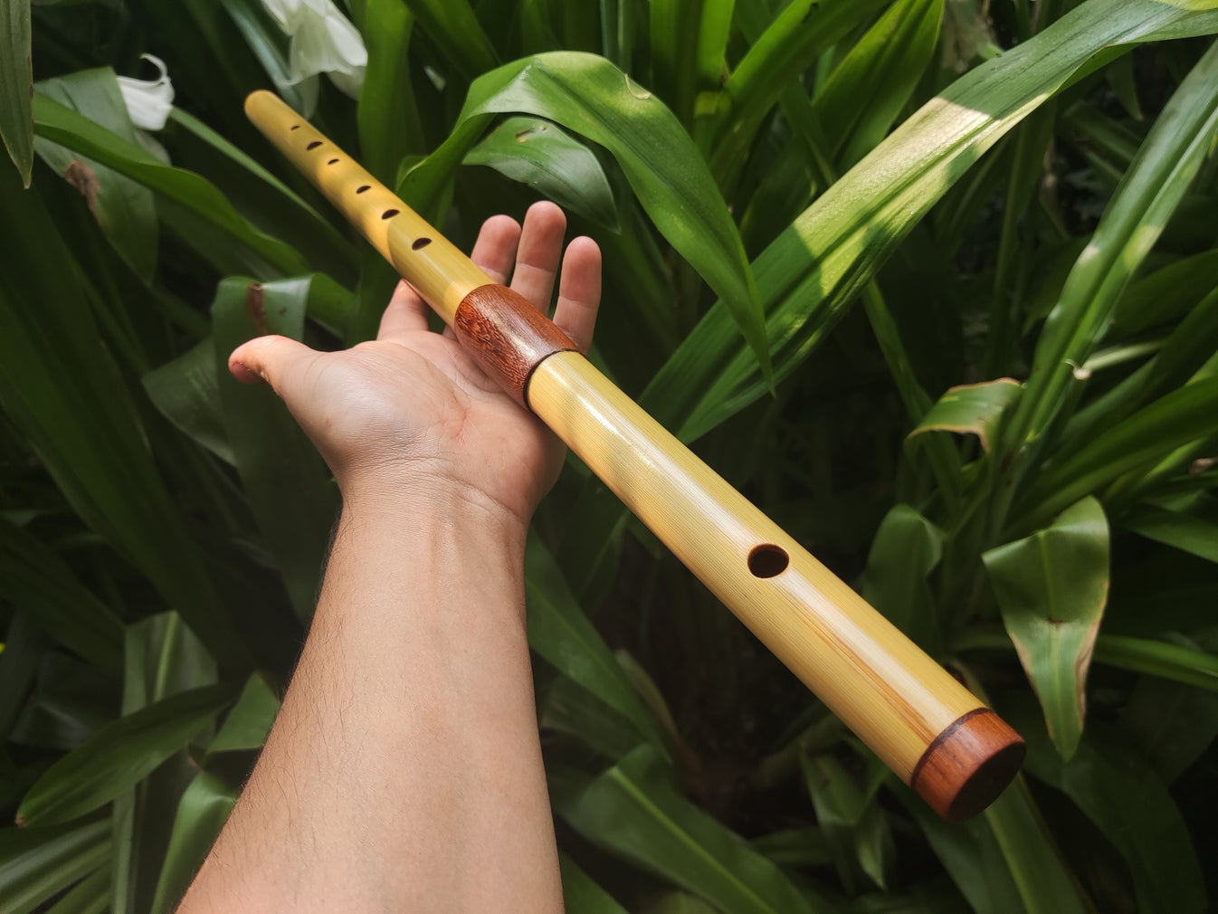 Low D Bamboo Transverse Flute Twopart Bamboo and Rosewood Flute by