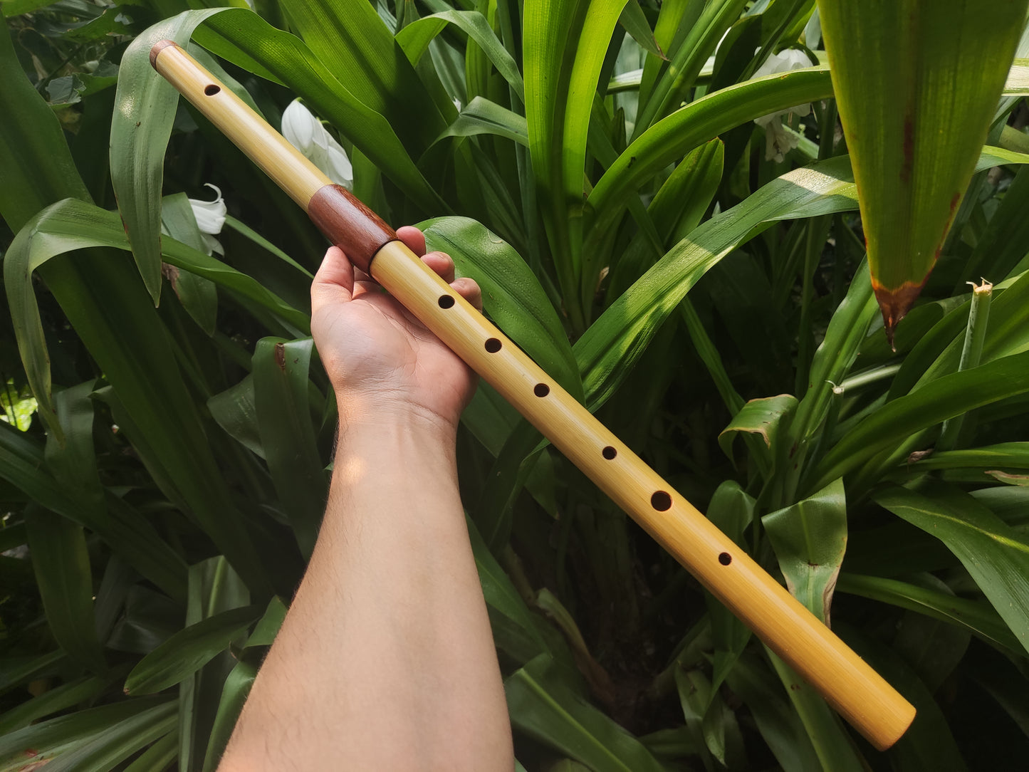 Low D Bamboo Transverse Flute | Two-part Bamboo and Rosewood Flute by Rui Gomes