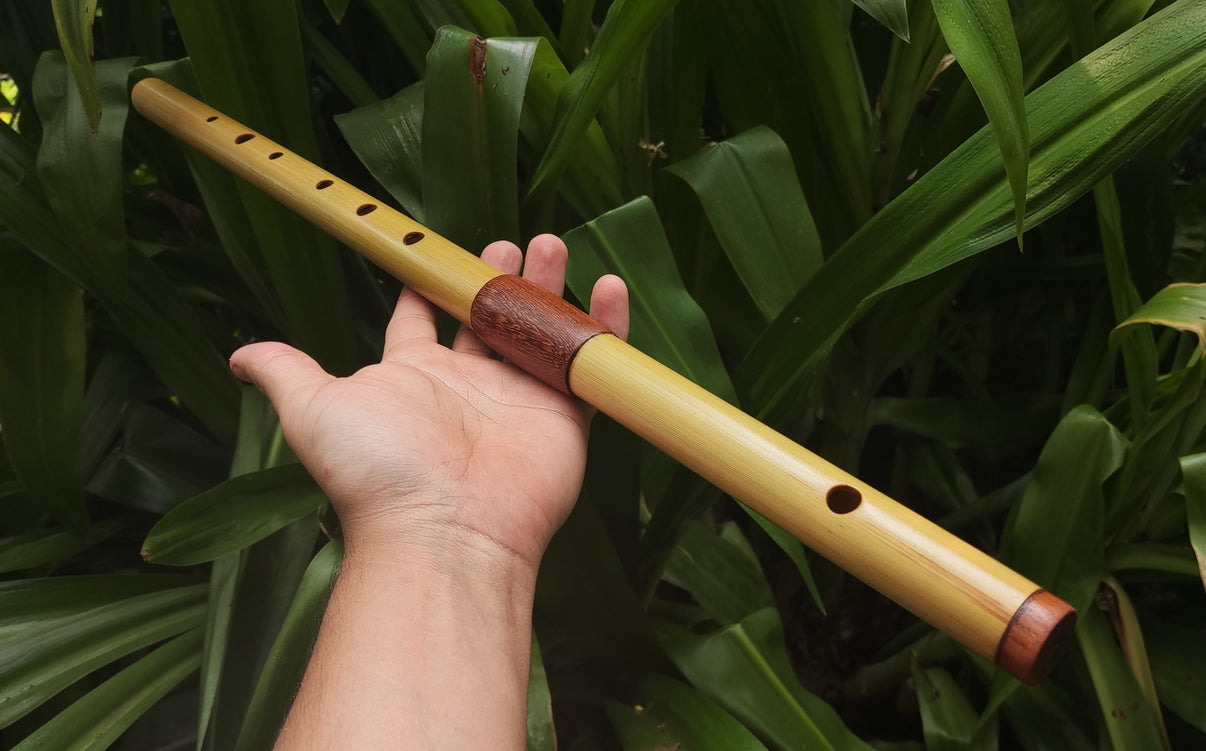 Low D Bamboo Transverse Flute Twopart Bamboo and Rosewood Flute by