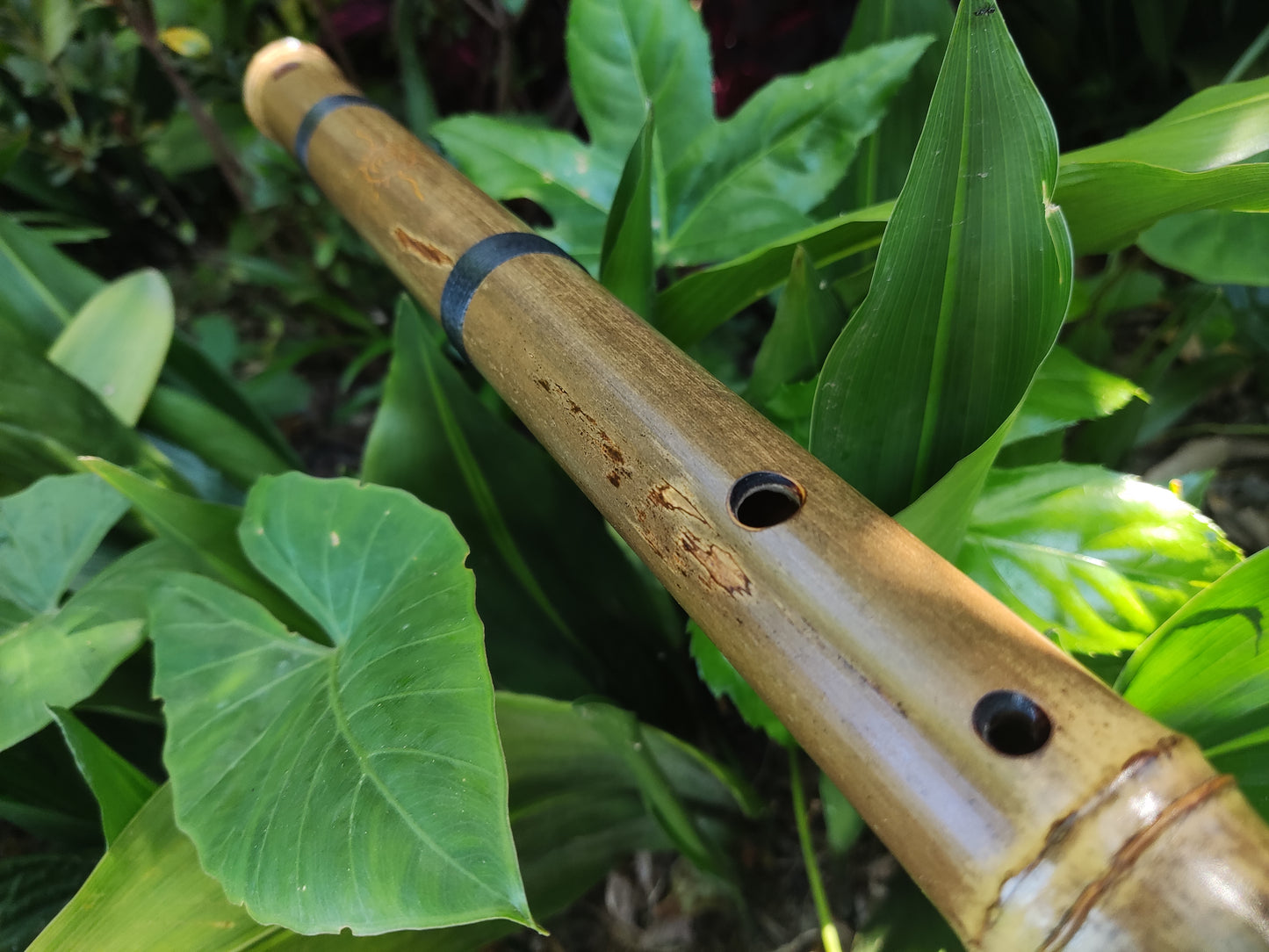 Reserved for Max: C# Hijaz Bamboo Flute by Rui Gomes