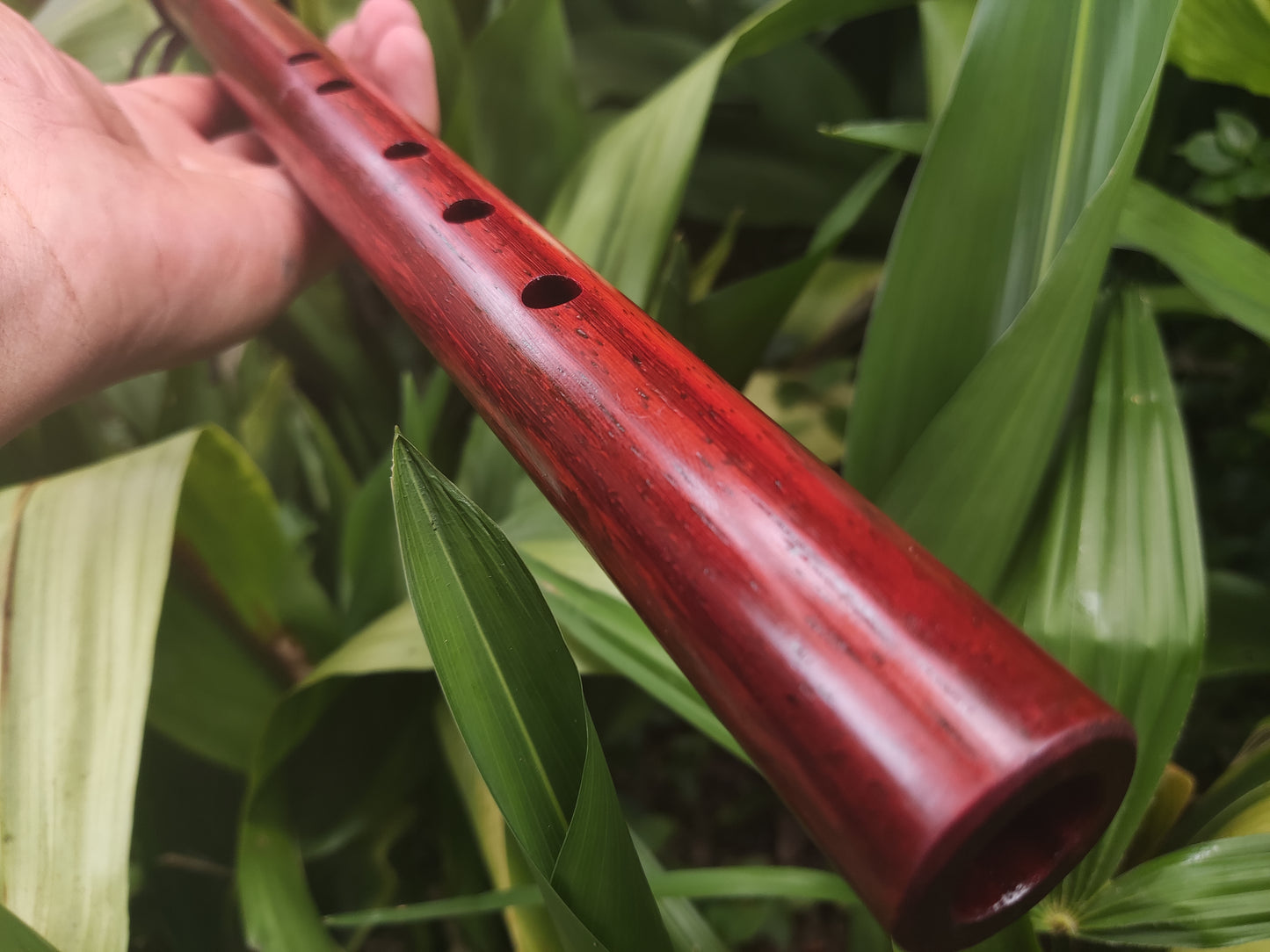 Native American Style flute in A made with Padauk and Rosewood by Rui Gomes