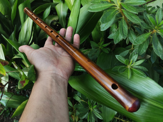 F Major Transverse Flute | Fire treated bamboo | Rui Gomes