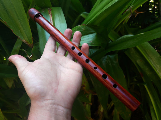 High D Whistle handmade out of Padauk | Rui Gomes