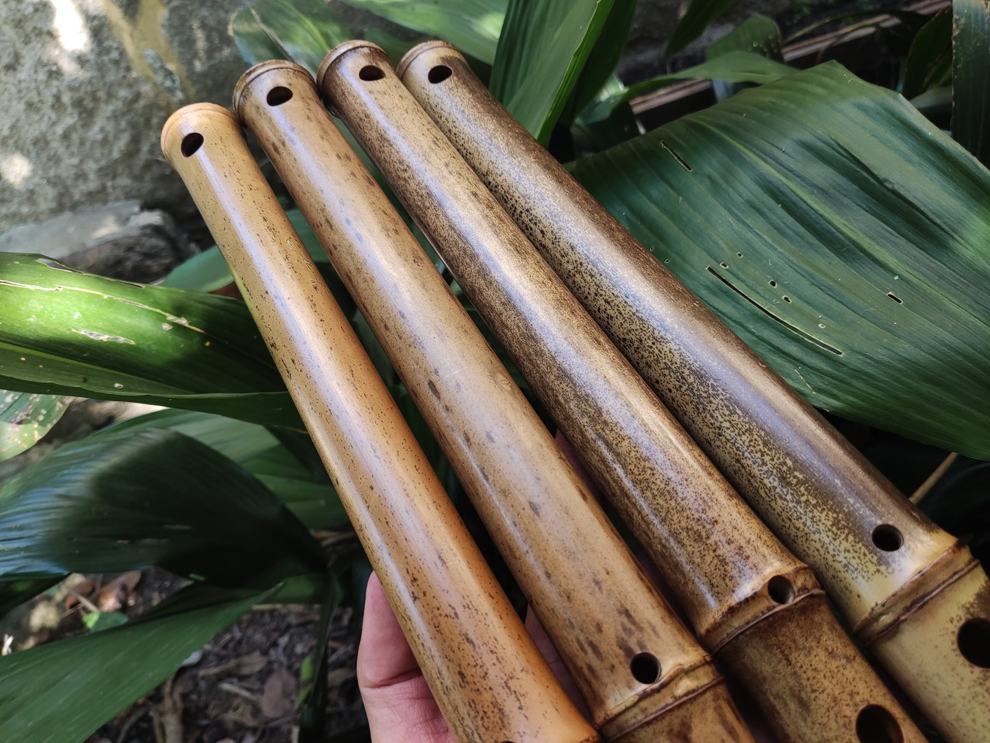 Asavari Raga Bamboo Transverse Flute in the Key of E | Rui Gomes | SoprosRG
