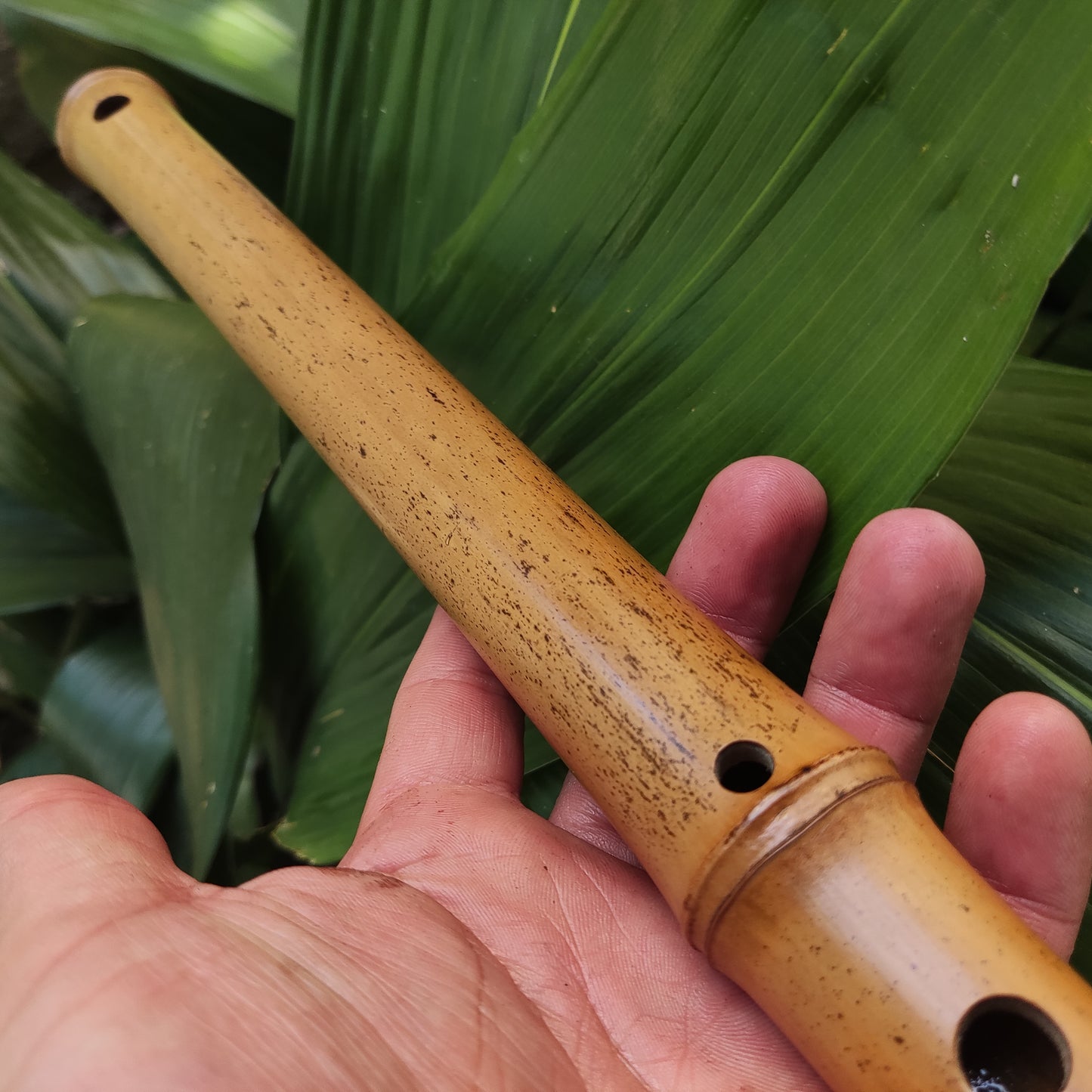 Asavari Raga Bamboo Transverse Flute in the Key of E | Rui Gomes | SoprosRG