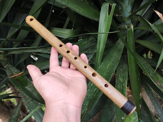 Basic A Major Bamboo Flute, concert tuned for Western and Eastern Music | Rui Gomes