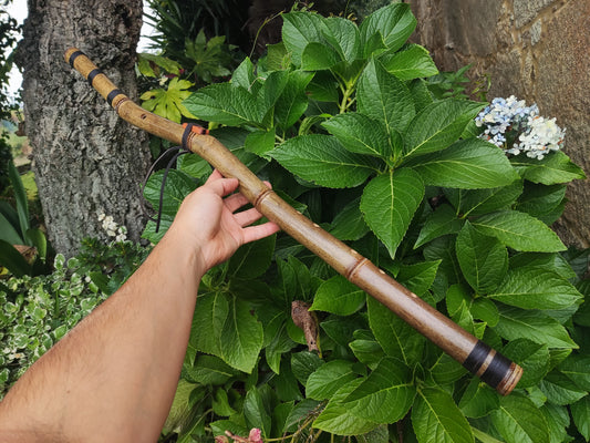 The Crooked flute! Native American Style bamboo flute in the key of E | Rui Gomes