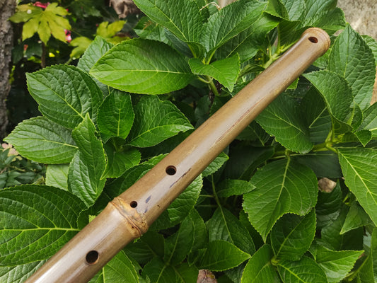 Low D Arabian style Bamboo Flute | Spanish Gypsy Bamboo Flute | Rui Gomes