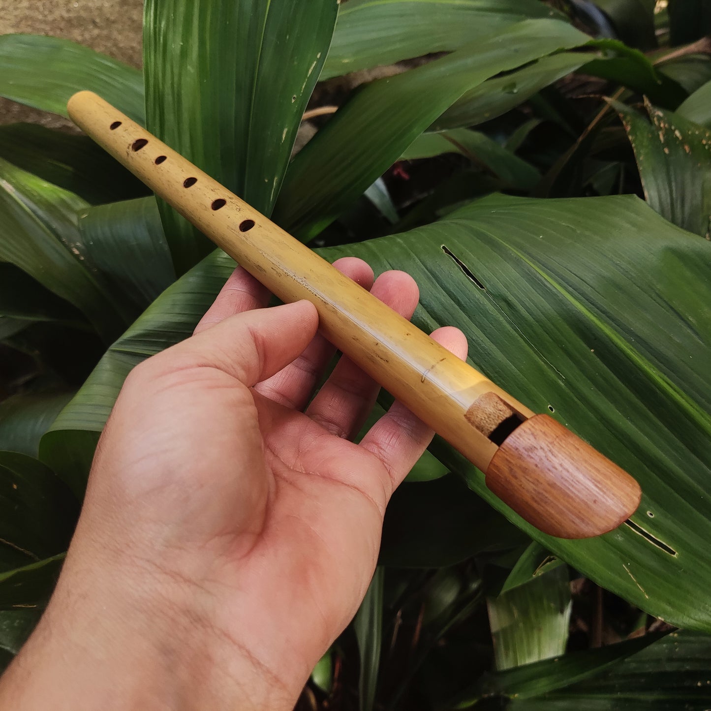 Tin Whistle in High C handmade out of Bamboo | Rui Gomes