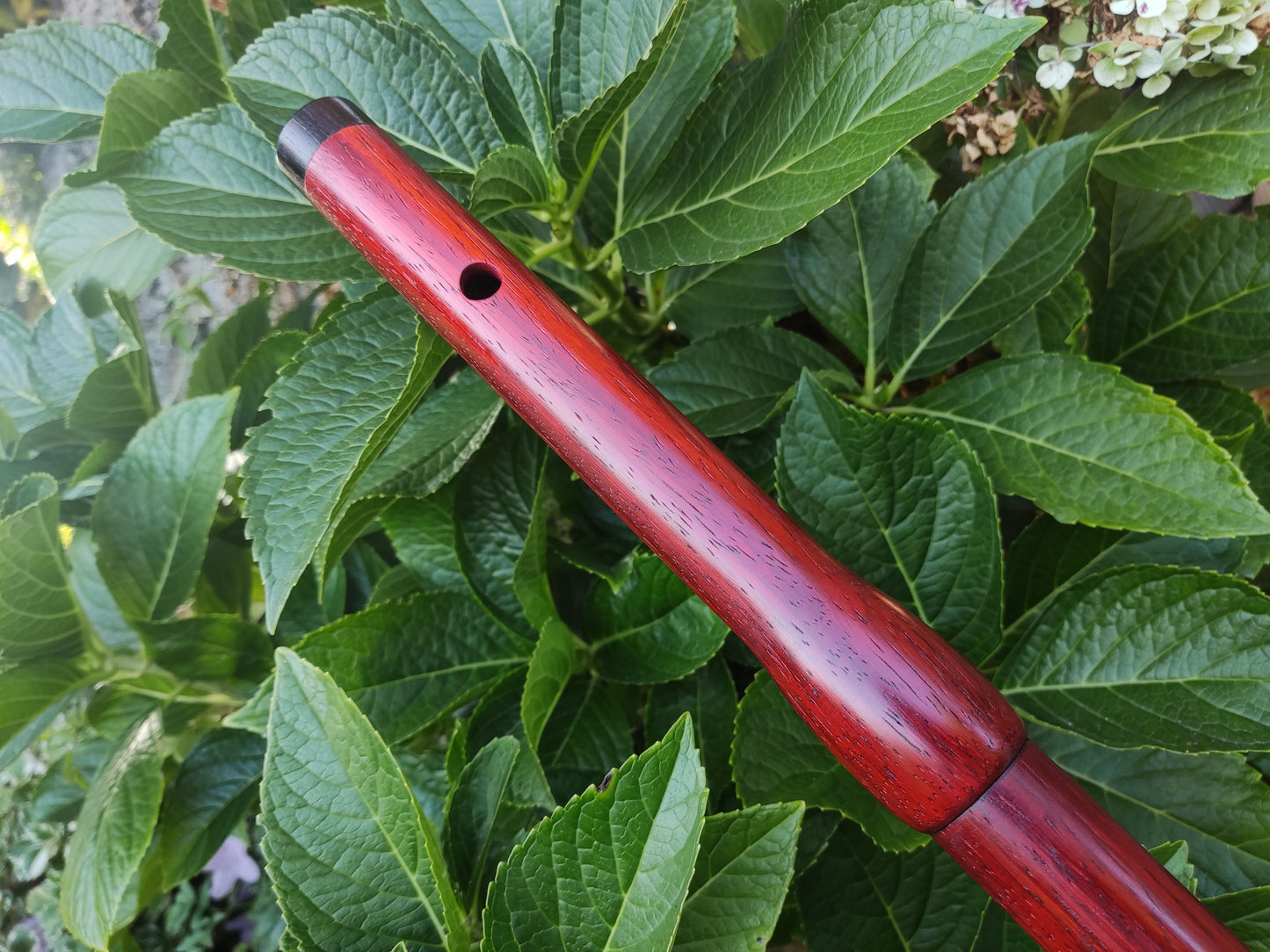 Low D Transverse Flute in Padauk | Rui Gomes