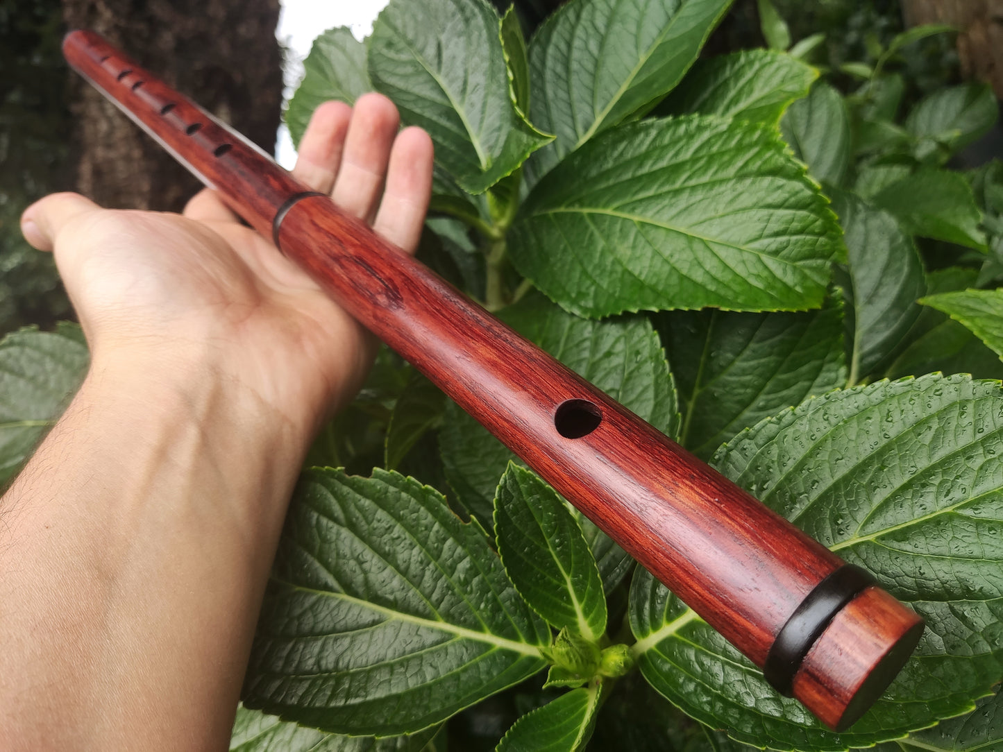 F Flute in Bubinga w/ Blackwood rings | Rui Gomes