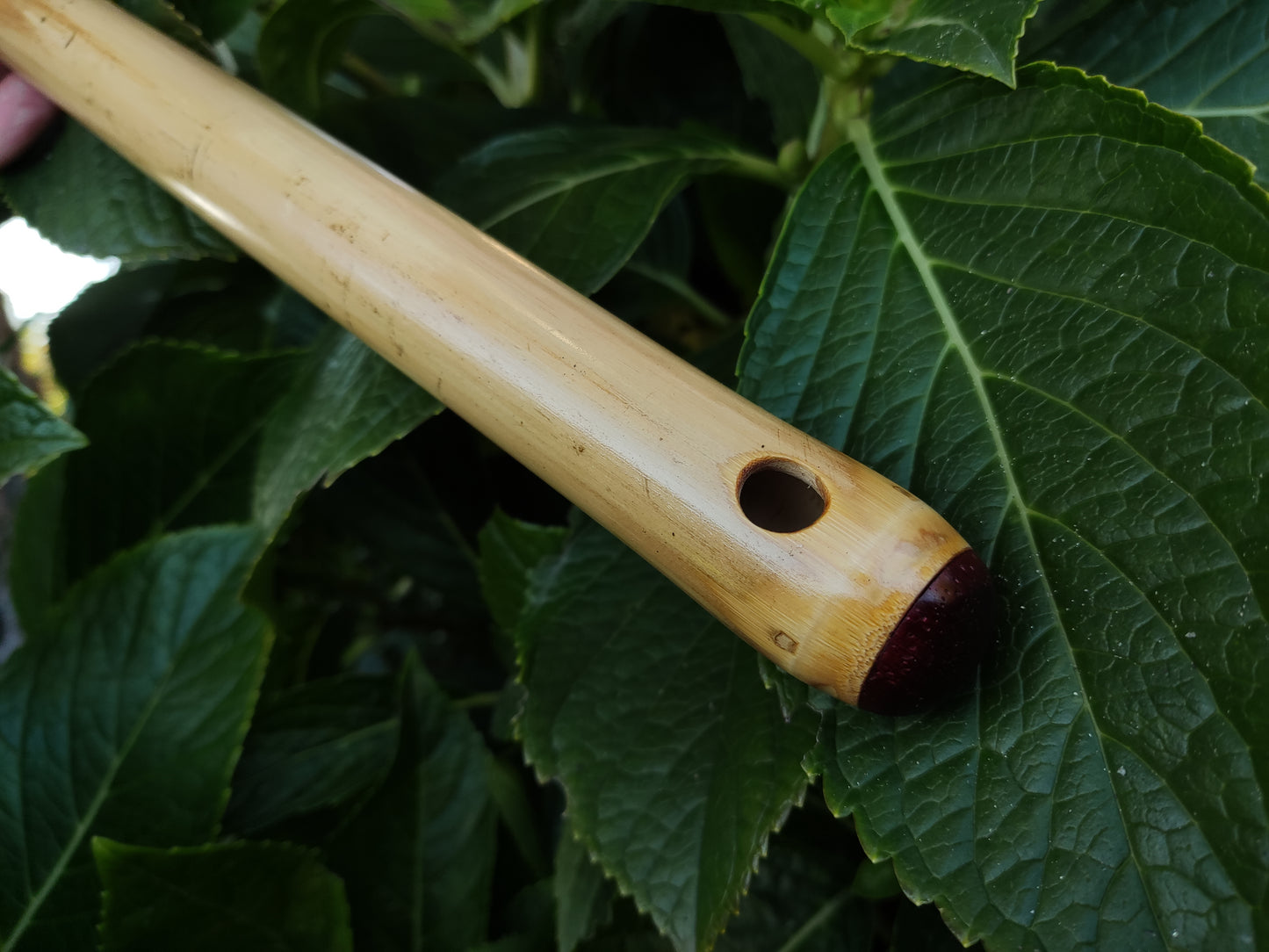 Low D Irish Flute in Bamboo | Rui Gomes