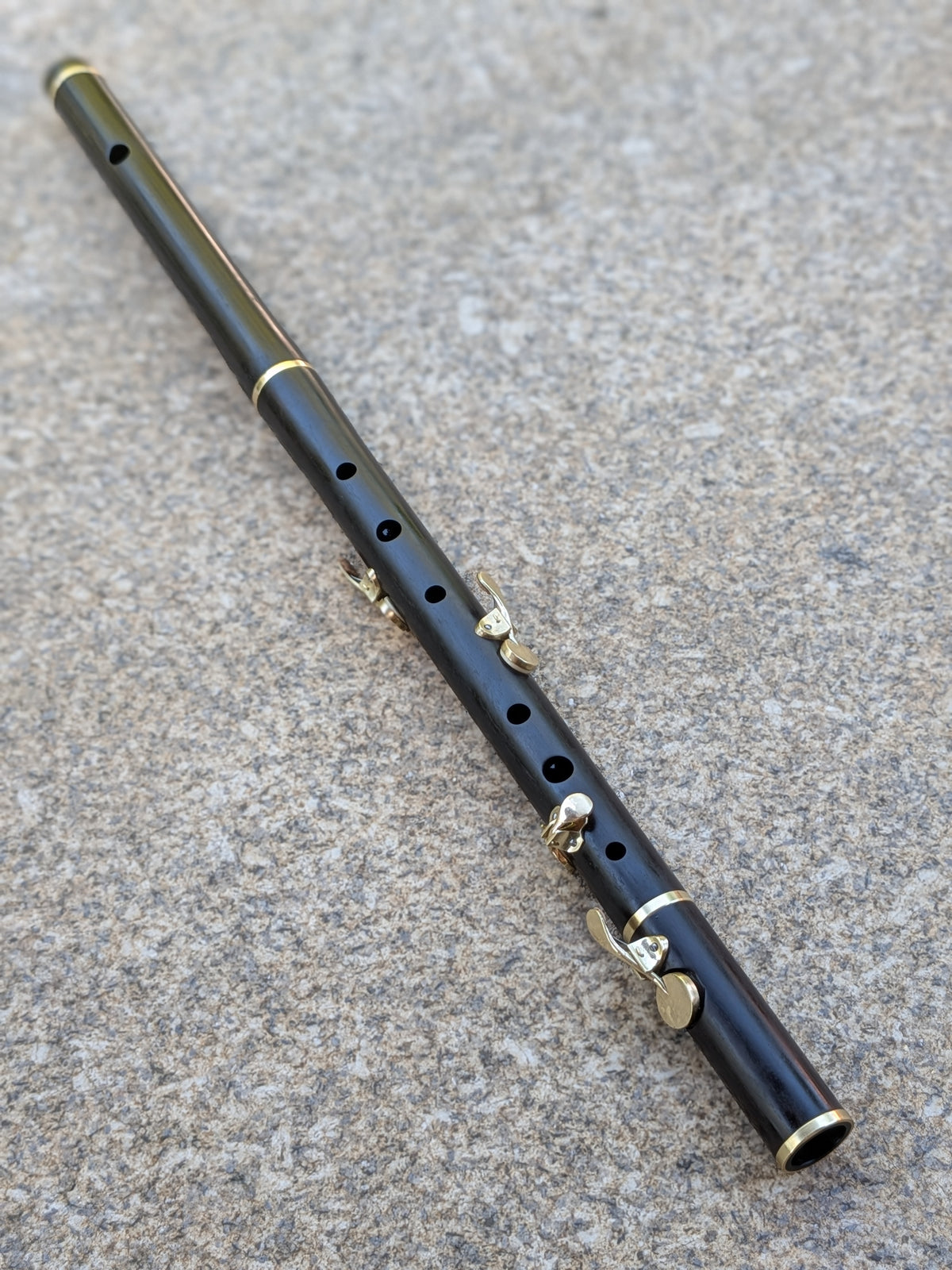 Simple system Flute in D up to 6 keys | Rui Gomes