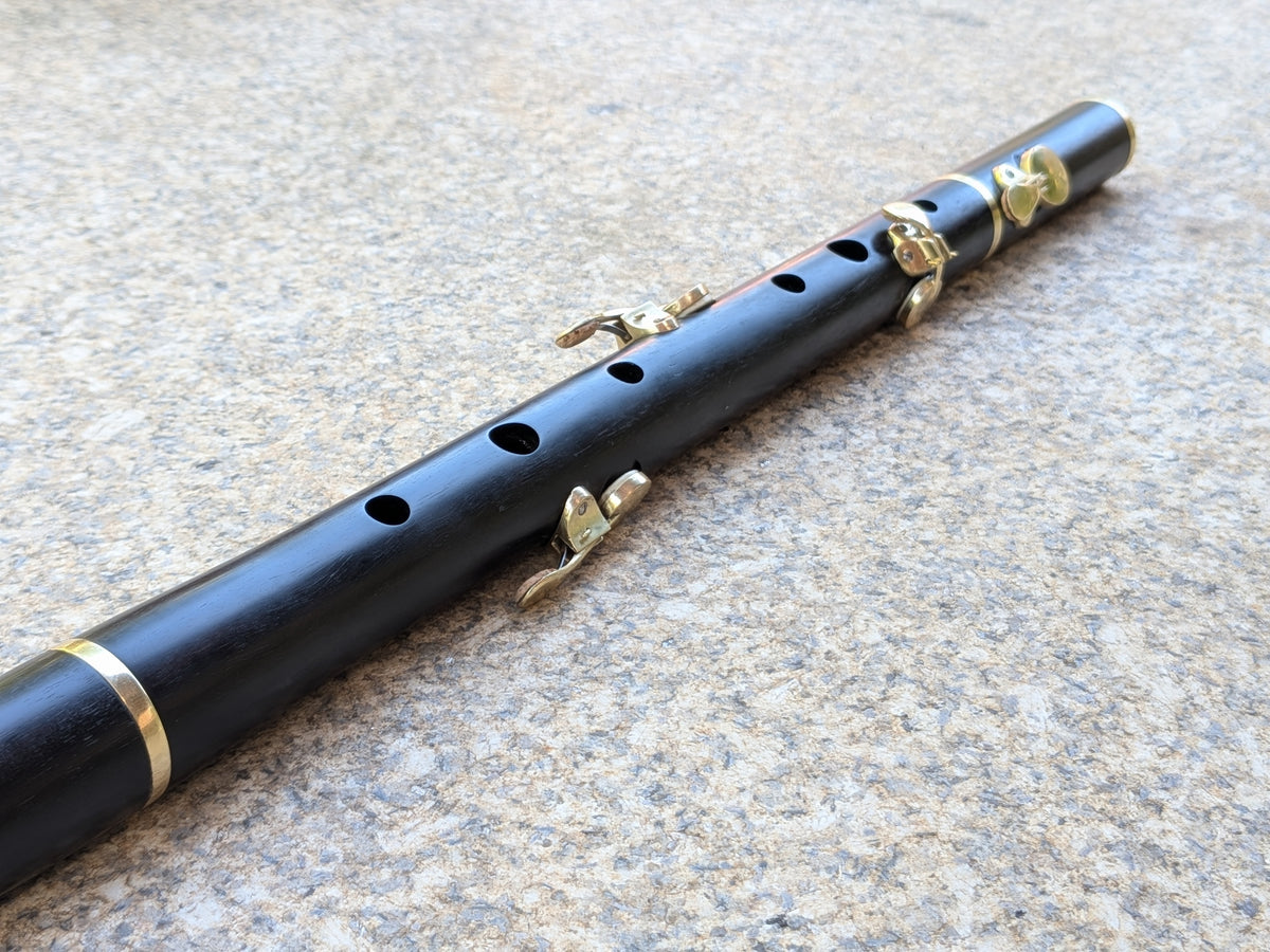 Simple system Flute in D up to 6 keys | Rui Gomes