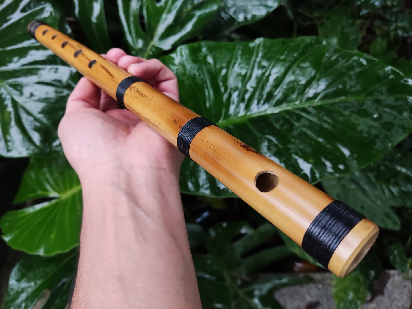 RESERVED FOR FRITZ. The raga set. Raga Charukesi and Shivranjani in A. Indian raga flutes
